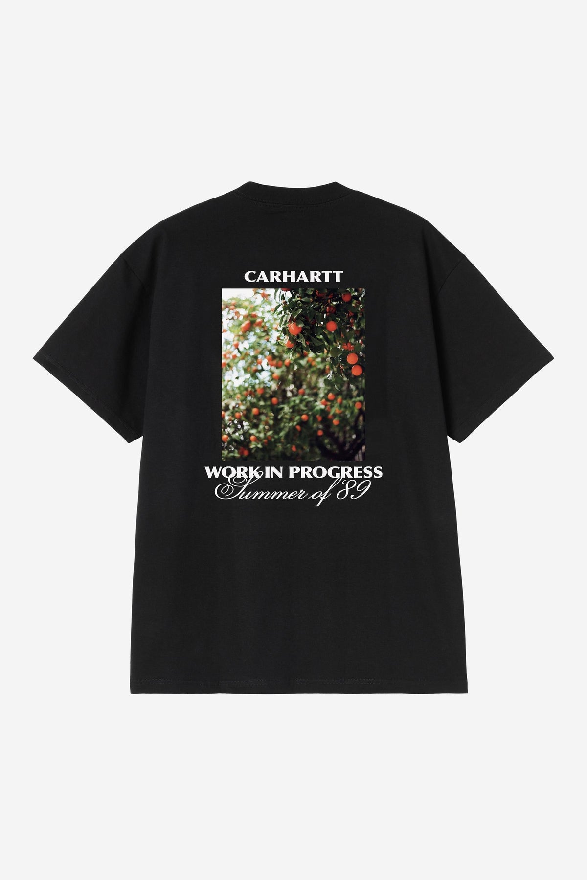 Warm Views T-Shirt - Carhartt WIP Smart Buy